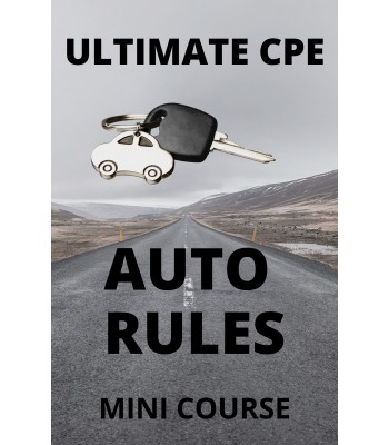 Auto Rules 2024 Mini Course